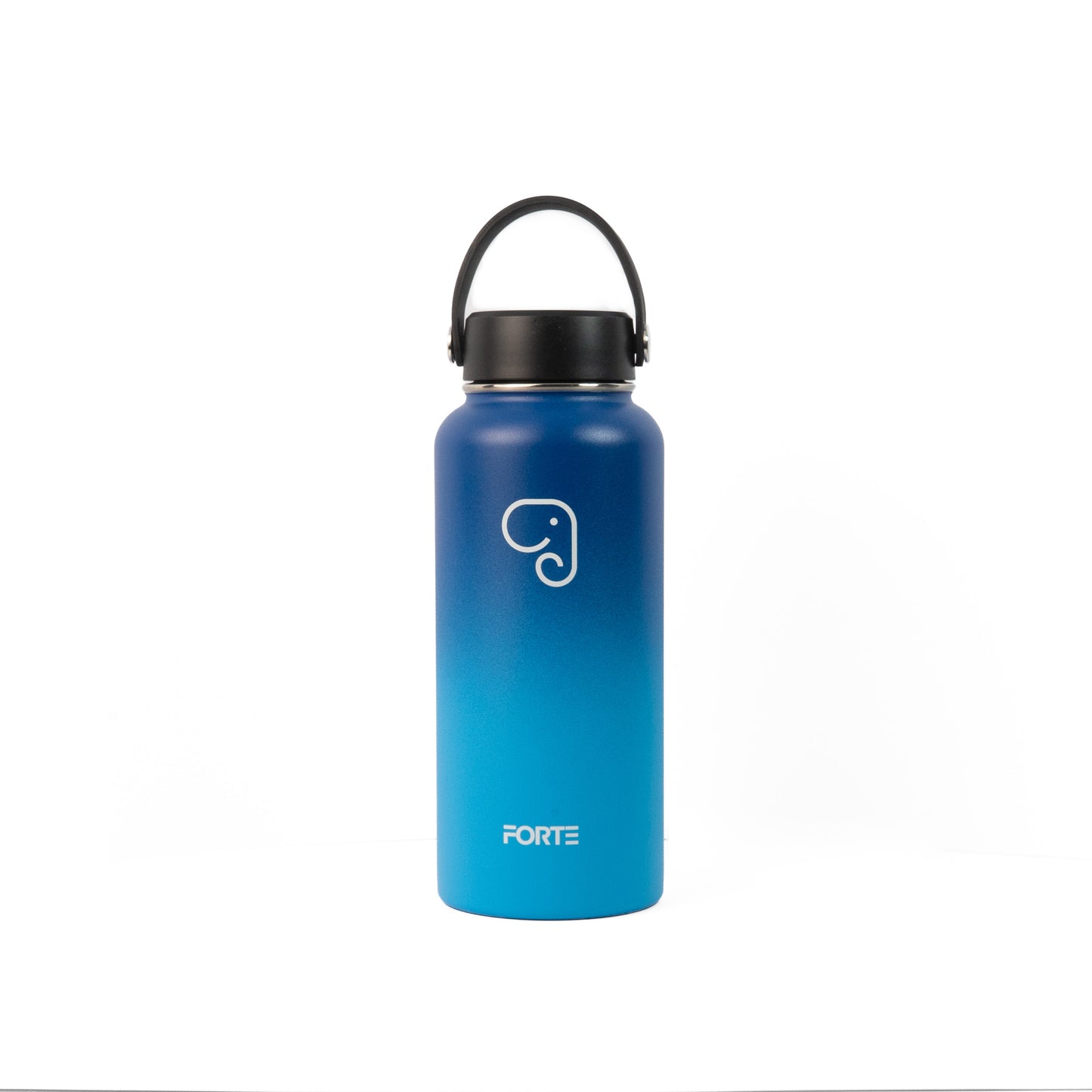 Forte 1L (32oz) Insulated Stainless Steel Water Bottle