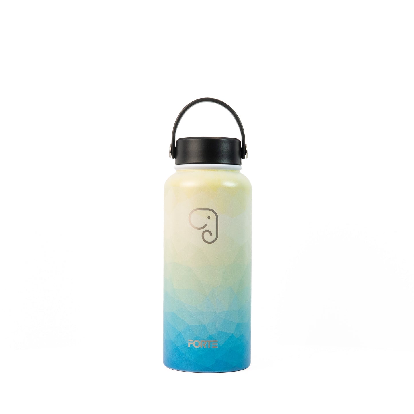 Forte 1L (32oz) Insulated Stainless Steel Water Bottle