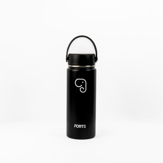 Forte 550ml (16oz) Stainless Steel Insulated Water Bottle