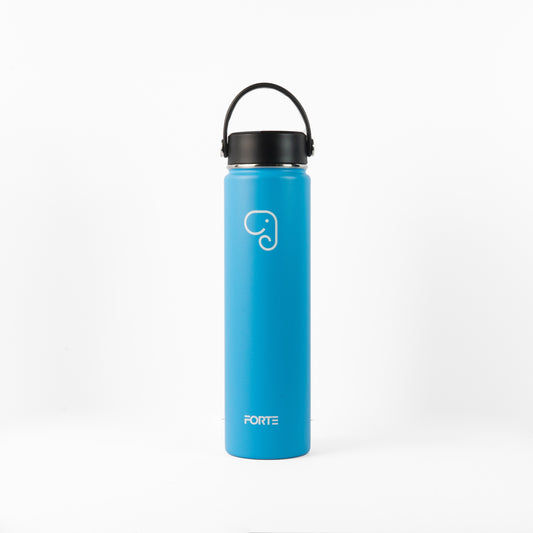 Forte 700ml (24oz) Stainless Steel Insulated Water Bottle