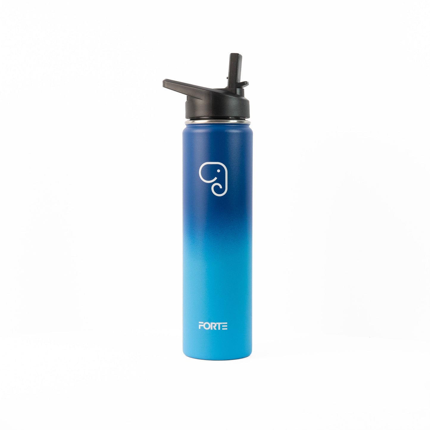 Forte 700ml (24oz) Stainless Steel Insulated Water Bottle